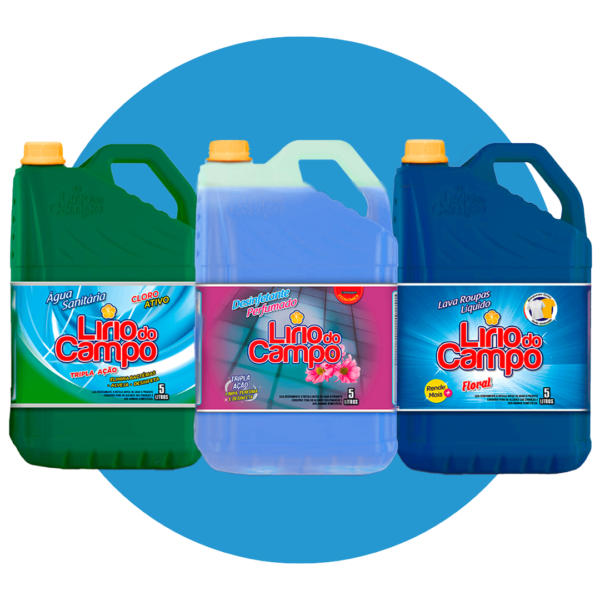 Kit Água Sanitária + Desinfetante Lavanda + Sabão Líquido Floral